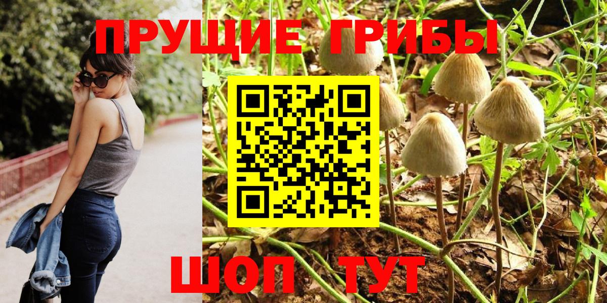 Псилоцибиновые грибы Cubensis Тверь